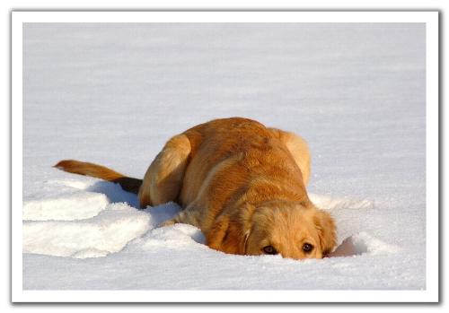 waiting - for...