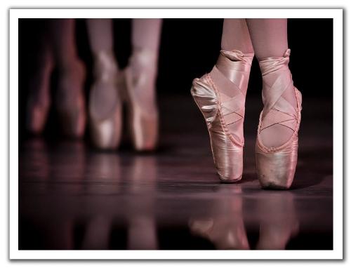 the prima - ballerina