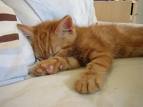 time for sleeping - it is usually time for me to sleep at after eleven at night. sometimes it is after twelve at night before i go to sleep.