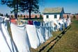 Sheets Drying in the Wind - A nice pic of sheets that have been hung out to dry.