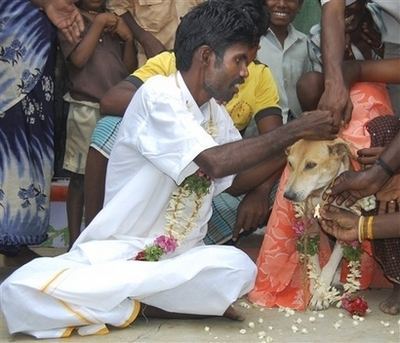 man and bride (dog) - In India, to ward off a curse, a village man marries a dog.