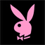 red rabbit - rabbit image in red color..
