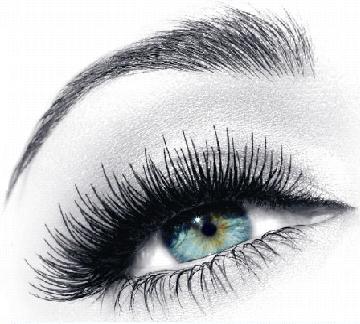 The perfect? brow - It's so hard to find the ideal shape for your eyebrows...and so many options! Full, thin, straight, arched...how do you choose? The perfect? brow - It's so hard to find the ideal shape for your eyebrows...and so many options! Full, thin, straight, arched...how do you choose?