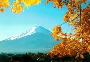 Mountain - Fuji mountain