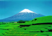 Mountain - Mount Fuji