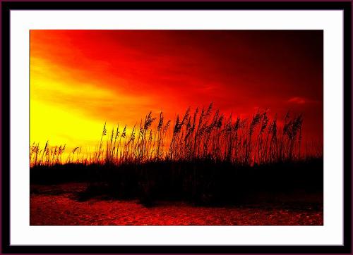 Sunset - beautiful suset scenary