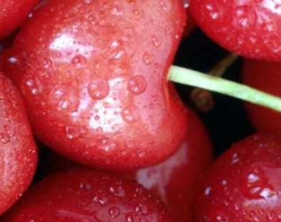 Cherries - Cherries. Yum.