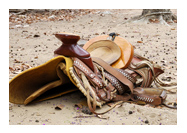 The saddle of a horse is only as good as the horse - Think about the saddle by itself. Is it any good. No. It has to have a horse under it for you to go anyplace.