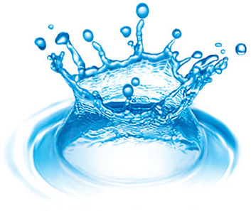 water - Precious, pure, full of life whose every drop needs to be conserved well.