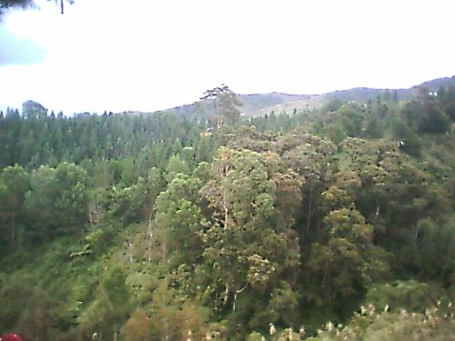Eco-tourism festival - the are were the zipline and cable lift found.