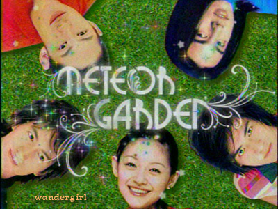 Meteor Garden  - Meteor Garden image