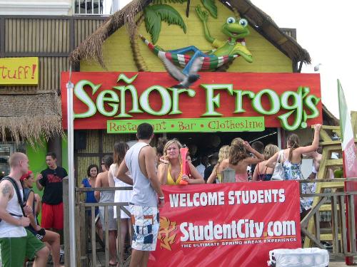 Senior Frogs - In the bahamas, at SrFrogs