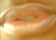 wow - kiss kiss