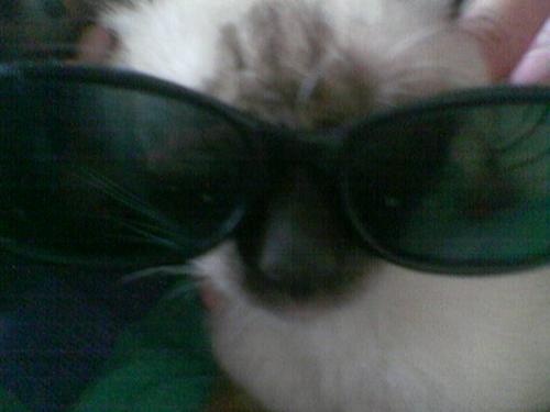 Shades - my baby wearing shades