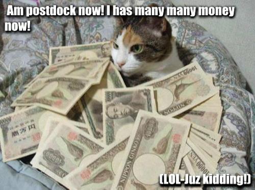 Many Money - Many money here, but belong to cat...