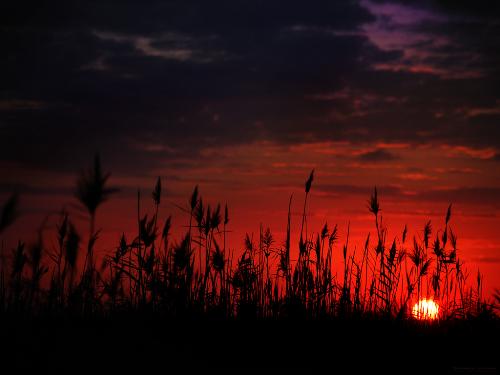 Sunset - A picture of the sunset.