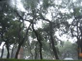 Rainy day - A shot looking up at the sky in the rain..