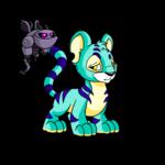 neopet - My very sick neopet catqee