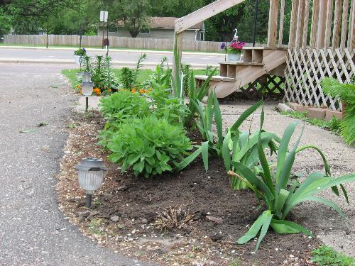 Side Flower Bed - Added a few Asiatic Lilies as well as about 8 Irises. Side Flower Bed - Added a few Asiatic Lilies as well as about 8 Irises.
