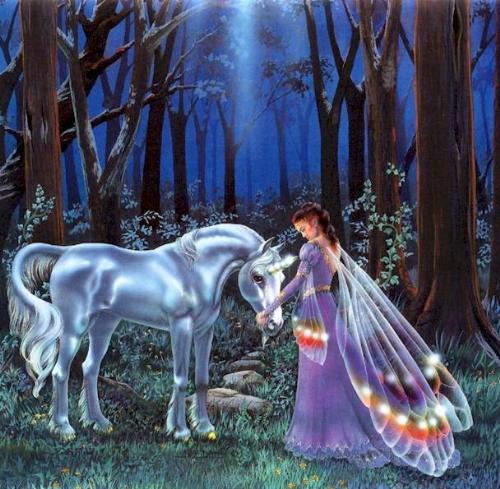 fantasy - photo is that of a dream which i would like to experience in real life
