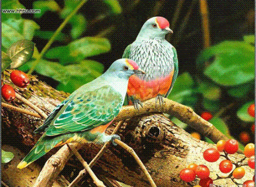 Friends - two friends enjoying each others company