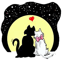 Love - Love represents a range of human emotions and experiences related to the senses of affection and sexual attraction. The word love can refer to a vatiety of different feelings, atates and attitudes, ranging from generic pleasure to intense personal attraction. This diversity of meanings, combined with the complexity of the feelings involved, makes love unusually difficult to consistently define, even compared to other emotional states.