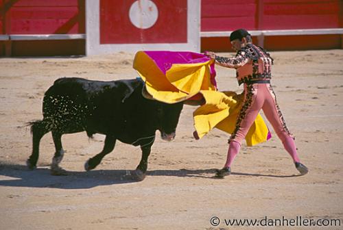 A bullfight - another cruel bullfight in spain..