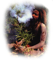 smoking picture of ganja man - picture depicts smoking ganja man 
