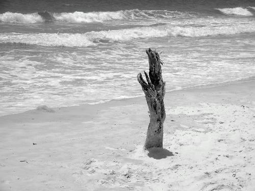 Beach - beach