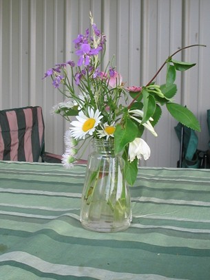 Wildflowers From My Husband -  My husband picked these small wildflowers while we were out on a walk. Isn't he a sweetie?