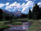 nature -  nature