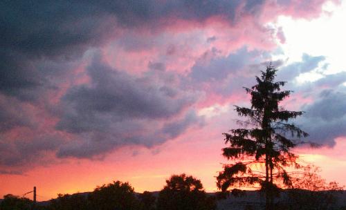 Pink Orange Skies - A Beautifull Pink Orange Sky after a Storm