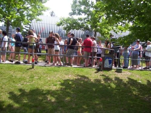 Crowd - Summer means crowd for wonderland