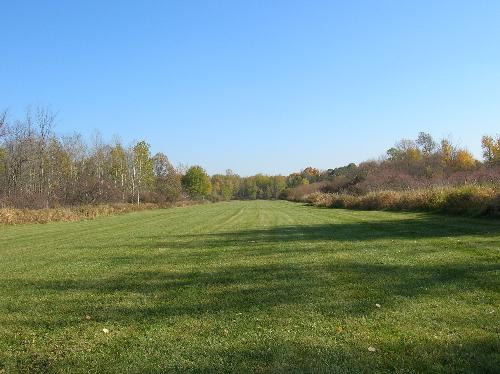autumn, fall, leaves, red, green, yellow, orange,  - autumn, fall, leaves, red, green, yellow, orange, colors, fun