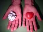mind and heart - a picture of the mind and heart