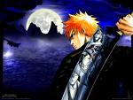 bleach - the anime bleach