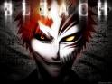 bleach - the manga bleach