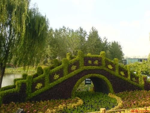 Olympic garden-In China - Beautifully carved hedge
