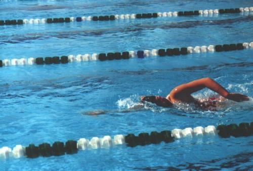 Swimming  - Swimming laps at a pool