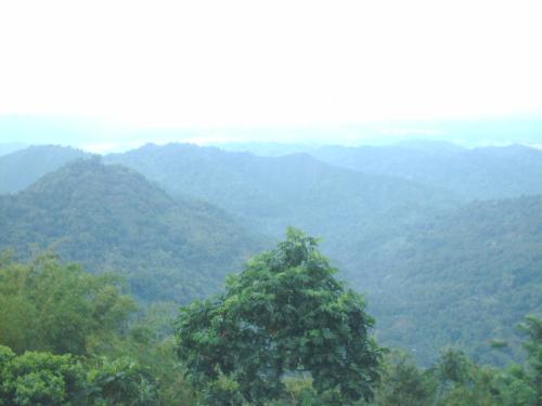 Look at that view - This picture was taken on our visit to the Philippines. Mountain View Busay! Nice view, right?