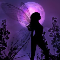 moonlight - A walk thru the moonlight is magical.