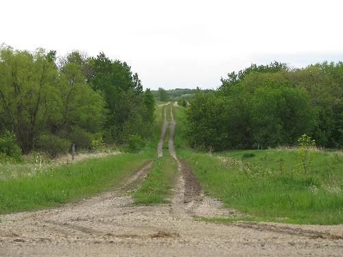 Rolling Pembina Valley Hills - This photo was taken in the Spring and reveals the sharp contrast to snow laden hills during winter months in Southern Manitoba.