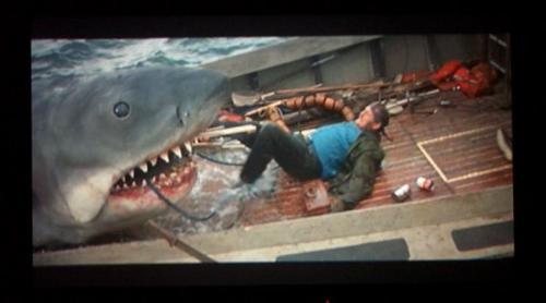 a pic from jaws - terrible fake shark