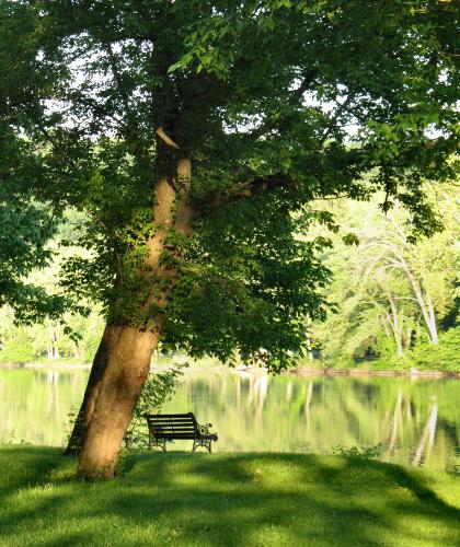 Scene on the Banks of the Shenandoah River - This photo was taken along the Shenandoah River in the Eastern Panhandle of West Virginia, just off Route 9. Time of year is early June.