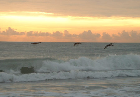 Morning flight - This is just some photo I'm using for this test.