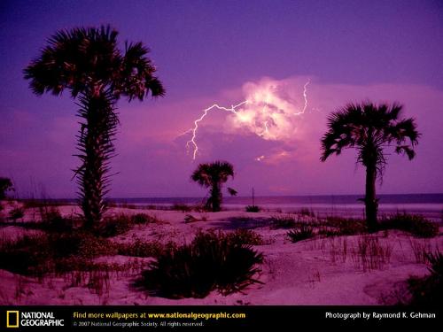 thunder - A purplish twilight sky over Georgia's Cumberland Island National Seashore glows as fingers of lightning spread among the clouds. Photograph by Raymond K. Gehman