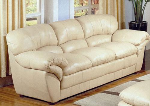 Leather Sofa  - Leather Sofa that we have but not in this color