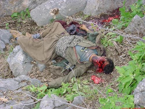 Shooting By Sniper - No coment with this    'Silent but Deadly'