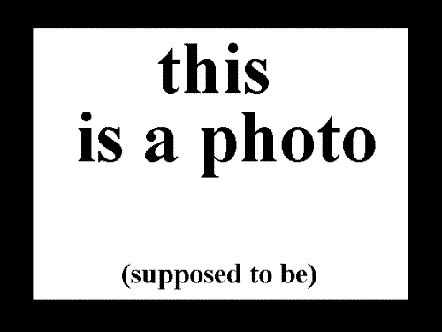 this is a photo (supposed to be) - a photo supposed to be added to a response this is a photo (supposed to be) - a photo supposed to be added to a response