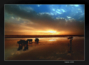 Photographs - wonderfully taken